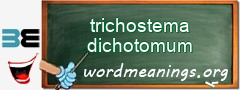 WordMeaning blackboard for trichostema dichotomum